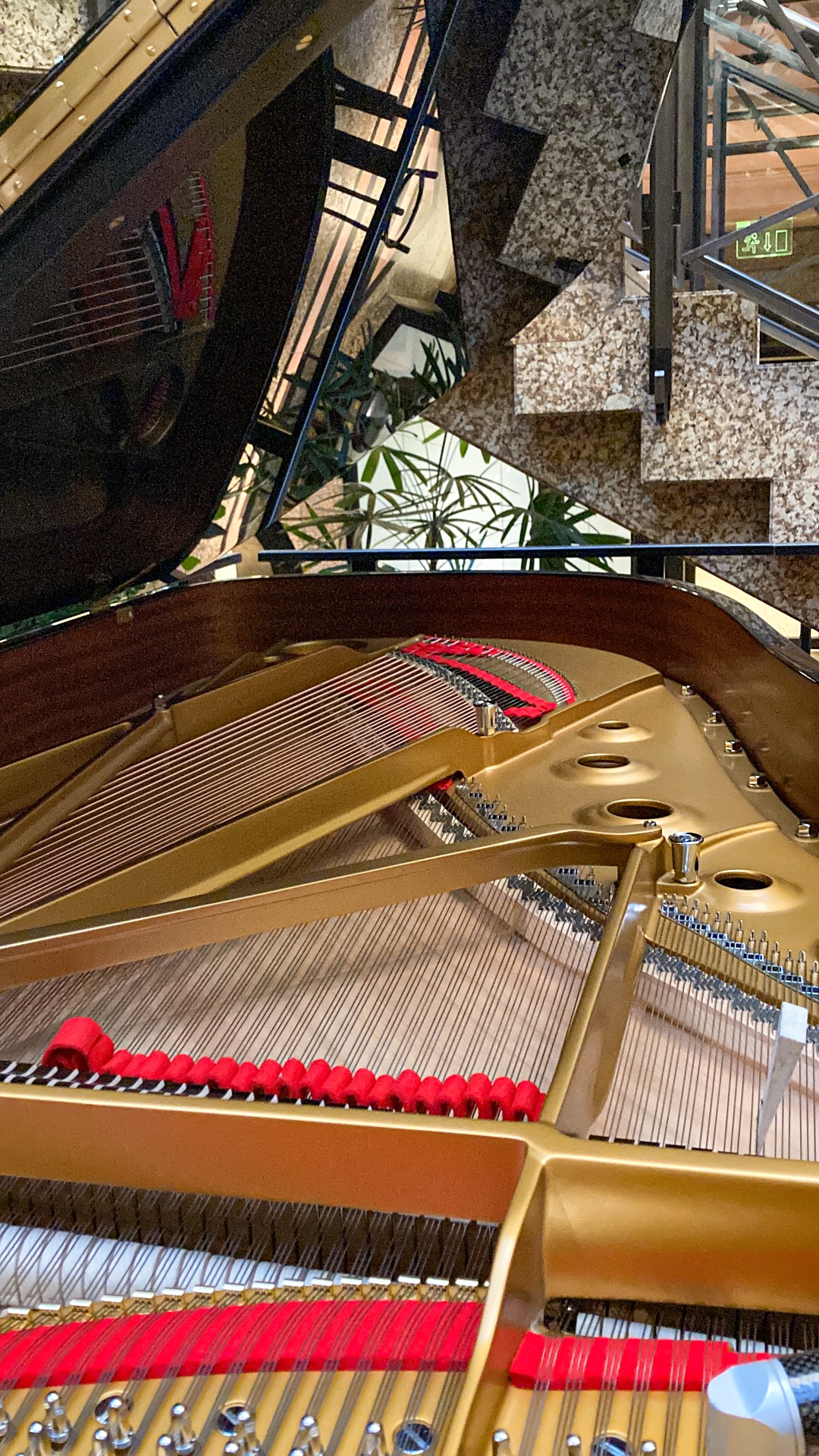 Steinway-Konzertflügel von innen – für Clara Biese steht jedes Instrument im Mittelpunkt